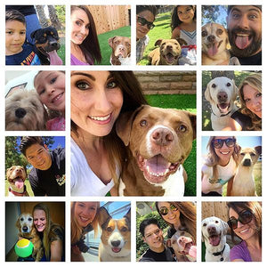 Dog Selfie Toy
