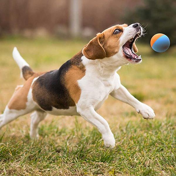 Rubber Dog Ball