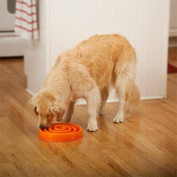 Slow Feed Pet Dog Bowl