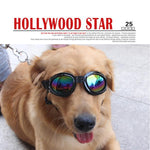 Dog Protective Sunglasses