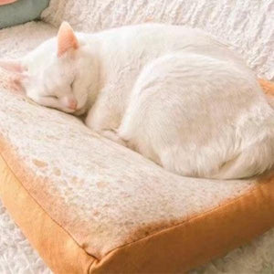 Simulated Toast Sliced Pet Cushion