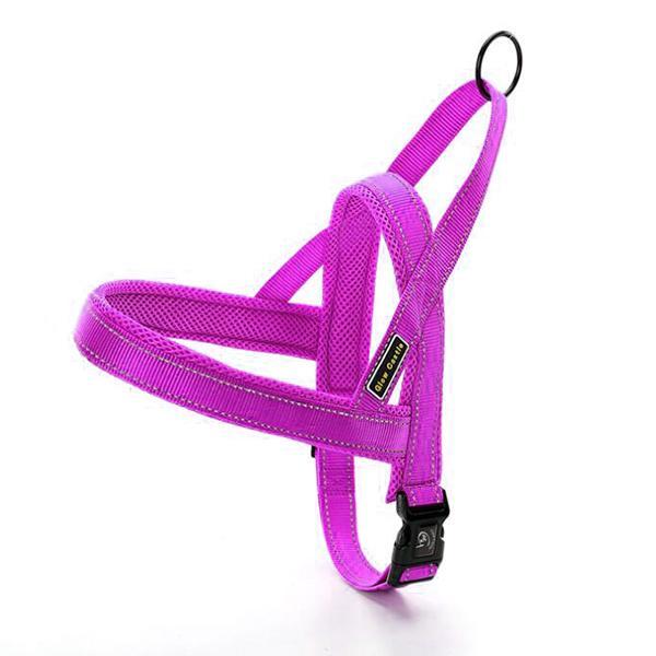 Quick Fit Adjustable Dog Harness