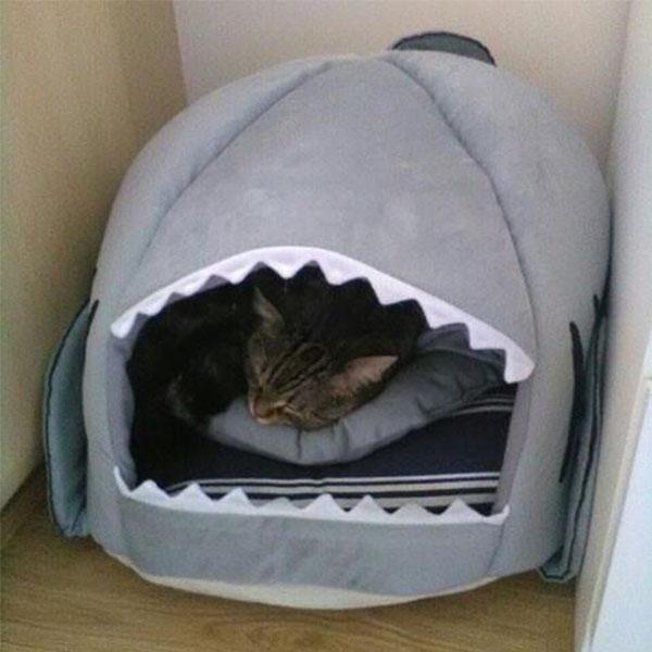 Shark Mouth Shape Bed for Puppy & Cat