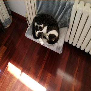 Steel Frame Structure Cat hammocks