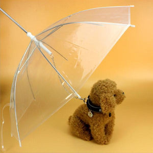 Pet Dog Umbrella Raincoat?With Leash?