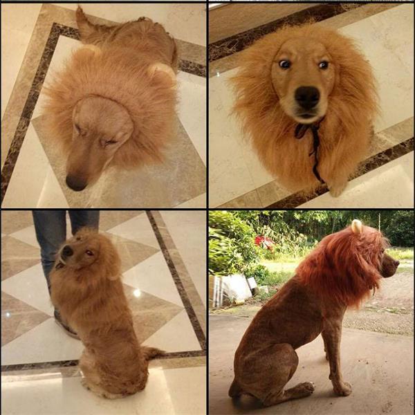 Pet Dog Lion Wig