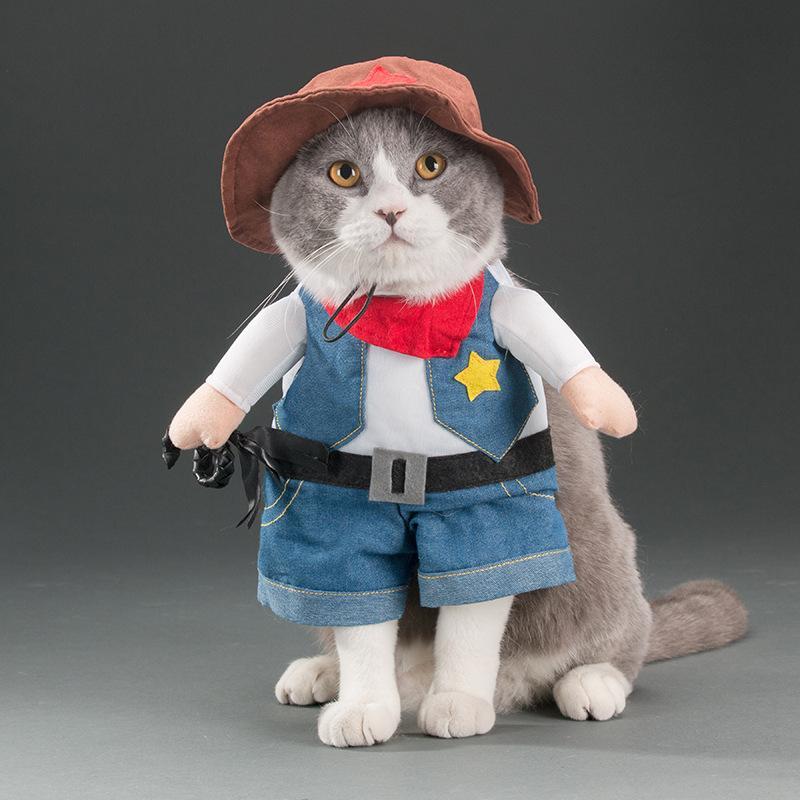 Pet Costume Halloween Transfiguration Clothes