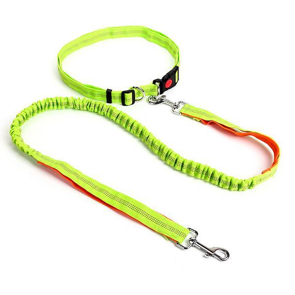 Nylon Running Pet Dog Leash