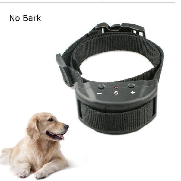 No Bark Collar