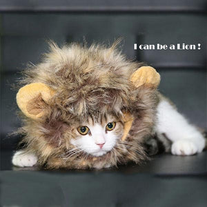 Pet Cat Wig