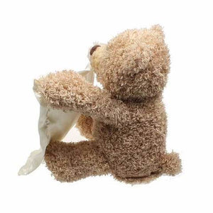 Peek A Boo Teddy Bear-Toys-Prime4Choice.com-Prime4Choice.com