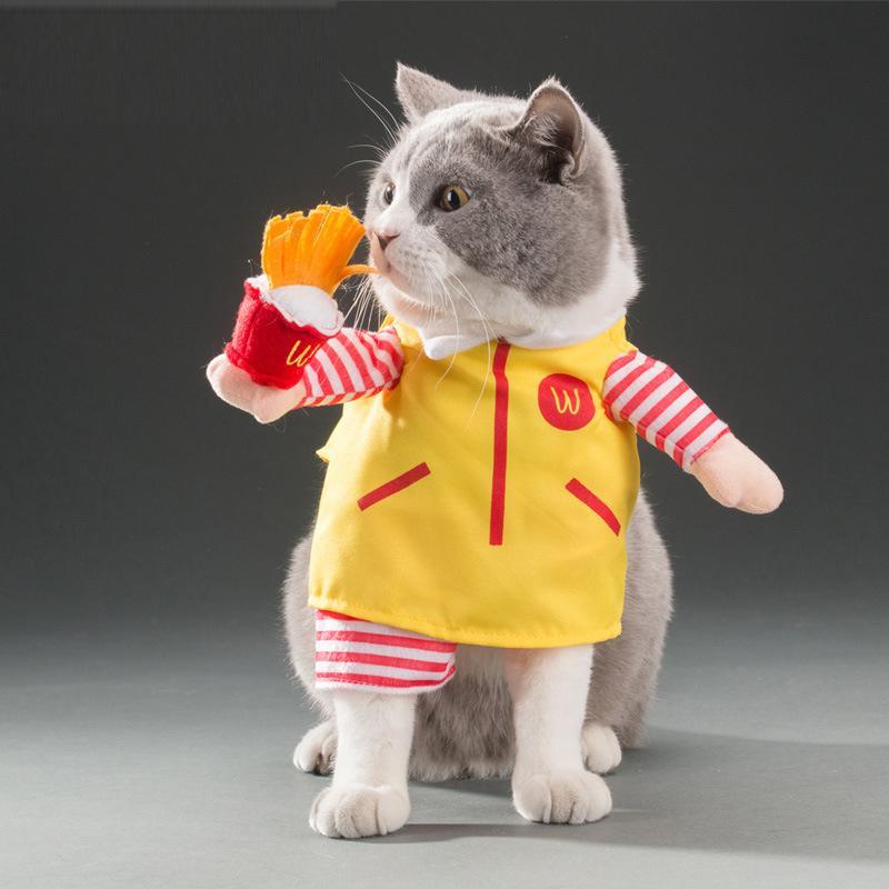 Pet Costume Halloween Transfiguration Clothes