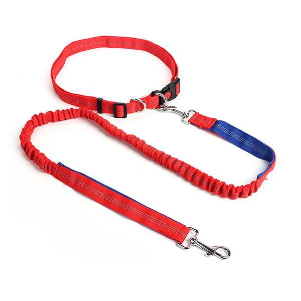 Nylon Running Pet Dog Leash