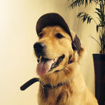 Pet Dog Sun Hat