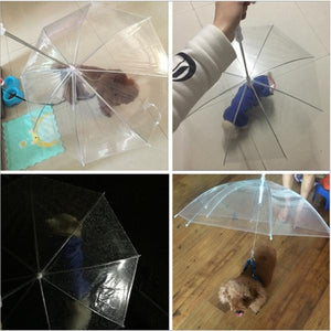 Pet Dog Umbrella Raincoat?With Leash?