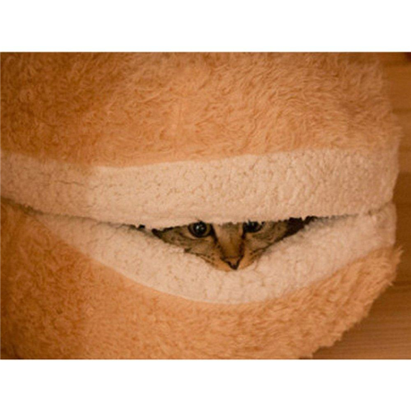 Warm and Cozy Cat Bed