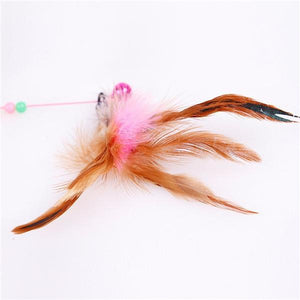 Assorted Feather Cat Toy Frisbee Cat Feather Toy Funny Cat Stick