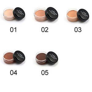 High Definition Waterproof Nature Full Cover Concealer Foundation