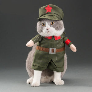 Pet Costume Halloween Transfiguration Clothes
