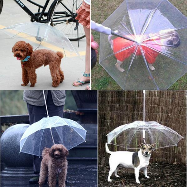 Pet Dog Umbrella Raincoat?With Leash?