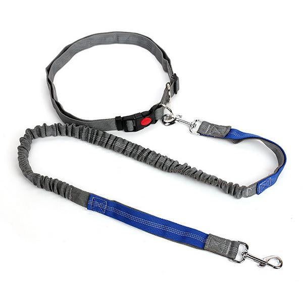 Nylon Running Pet Dog Leash