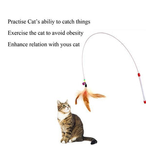 Assorted Feather Cat Toy Frisbee Cat Feather Toy Funny Cat Stick