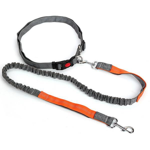 Nylon Running Pet Dog Leash