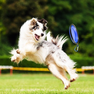 2-In-1 Pet Travel Water & Food Bottle with Companion Cup