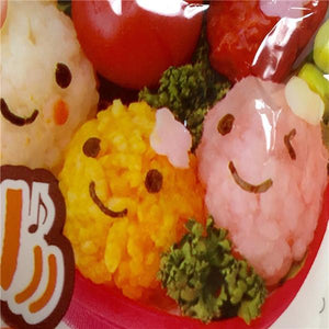 Rice Balls Mold