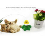 Electric Rotating Butterfly Funny Cat Toy-Toys-Beautyholic1.com-BeautyHolic1.com