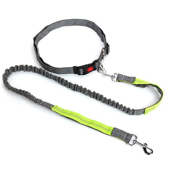 Nylon Running Pet Dog Leash