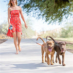 Dual Doggie 2 Dog Retractable Leash - 50 pounds per dog leash