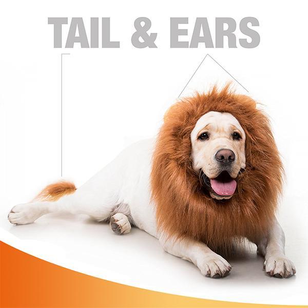 Original Lion Mane for Dog Funny and Realistic