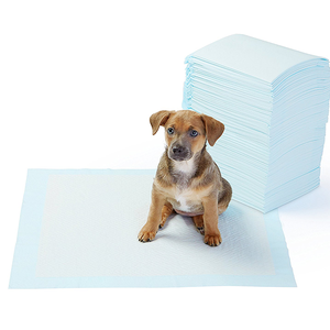 Pets Water-absorbing and Deodorant Diapers