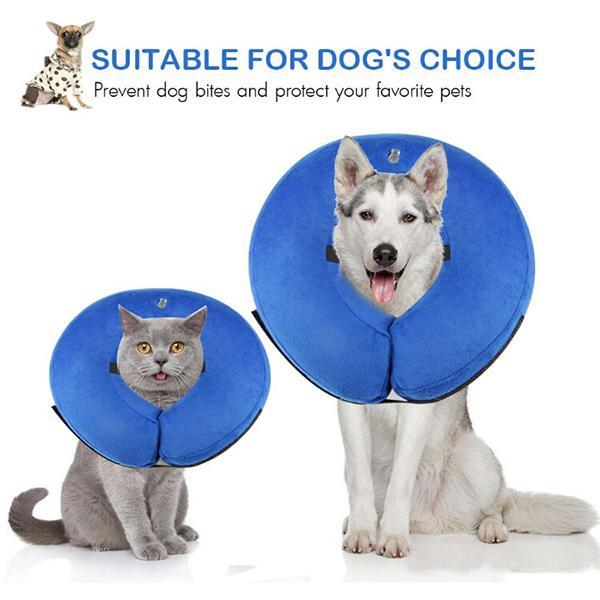 Protective Inflatable Dogs Collar