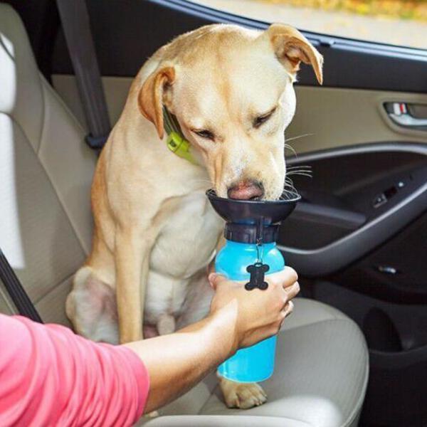 Pet Dog Drinking Water Mug