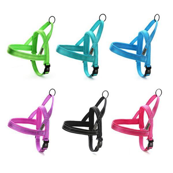 Quick Fit Adjustable Dog Harness