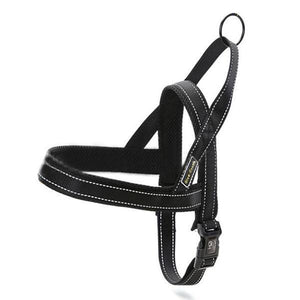 Quick Fit Adjustable Dog Harness