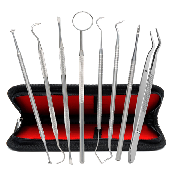 8PCS Floss Stainless Steel Dental Pick Tool Set