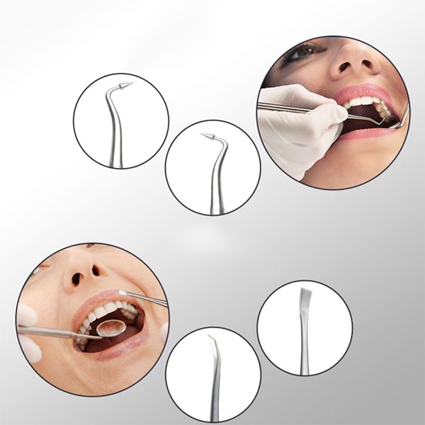 8PCS Floss Stainless Steel Dental Pick Tool Set