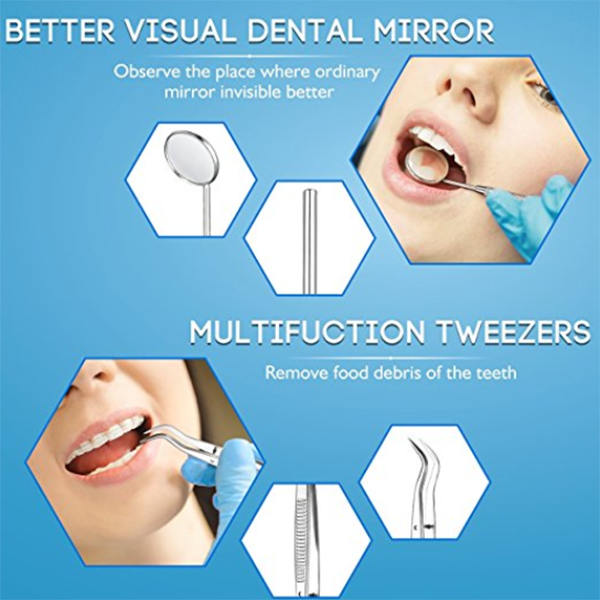 8PCS Floss Stainless Steel Dental Pick Tool Set