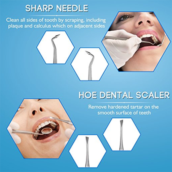 8PCS Floss Stainless Steel Dental Pick Tool Set