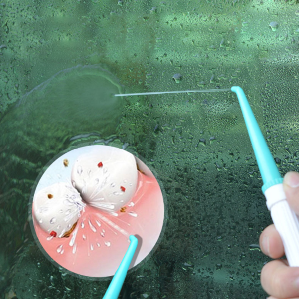 Family Oral Irrigator Floss Water Jet DSC