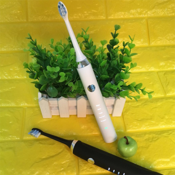 Ultrasonic Electric Toothbrush DS810