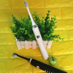 Ultrasonic Electric Toothbrush DS810