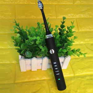 Ultrasonic Electric Toothbrush DS810