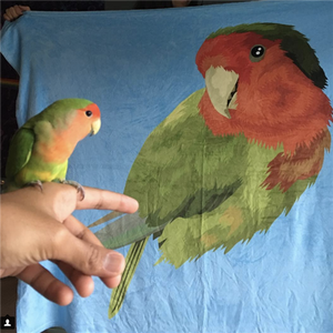 Custom Pet Fleece Blanket