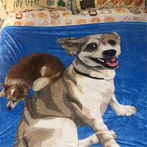 Custom Pet Fleece Blanket