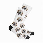 CUSTOM DOG SOCKS