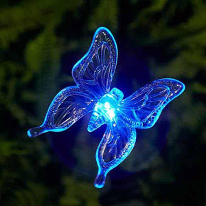 Multi-Color Changing Solar Powered Lights-Lights-Prime4Choice.com-1 Butterfly-Prime4Choice.com